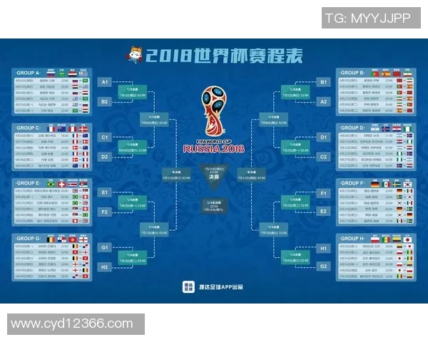 全球足球世界杯各国球星实力排名与表现分析