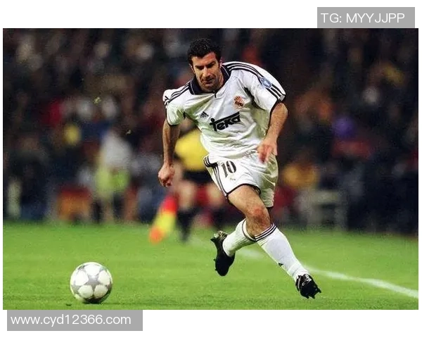 河北籍足球球星成长历程与辉煌时刻全面解读带你走近绿茵场上的英雄