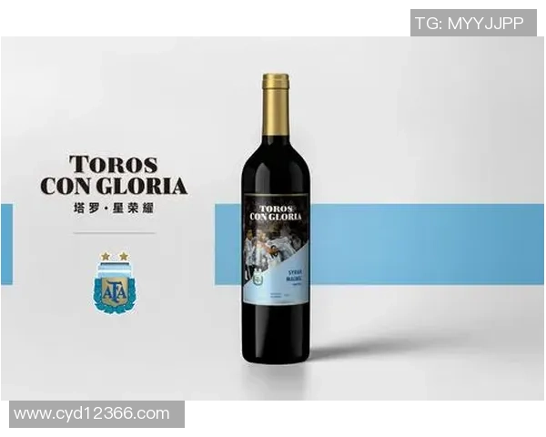 足球球星塔罗揭示绿茵传奇背后的命运与荣耀旅程